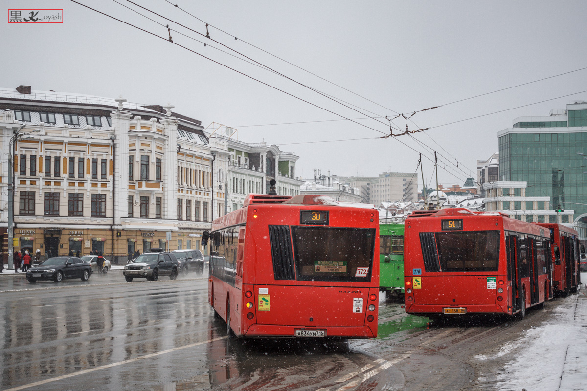 Татарстан, МАЗ-203.069 № 772; Татарстан, МАЗ-203.069 № 210