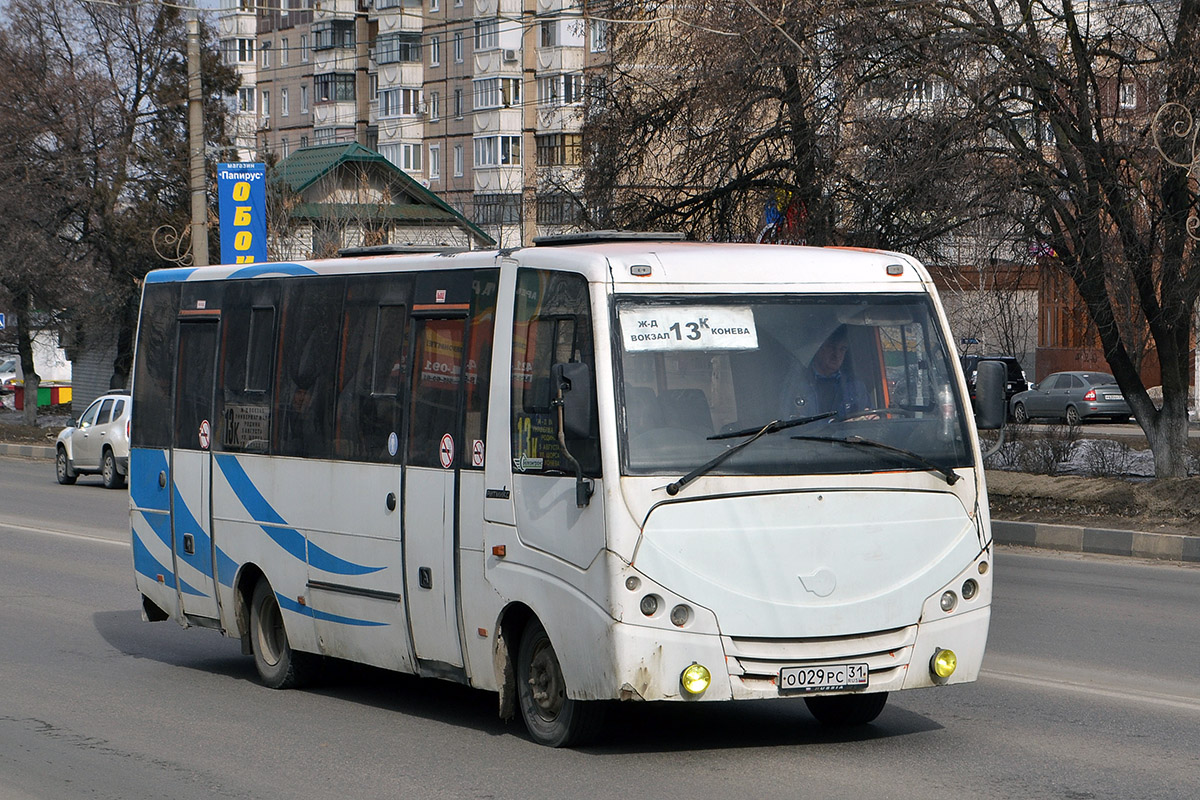 Белгородская область, Volgabus-4298.01 № О 029 РС 31