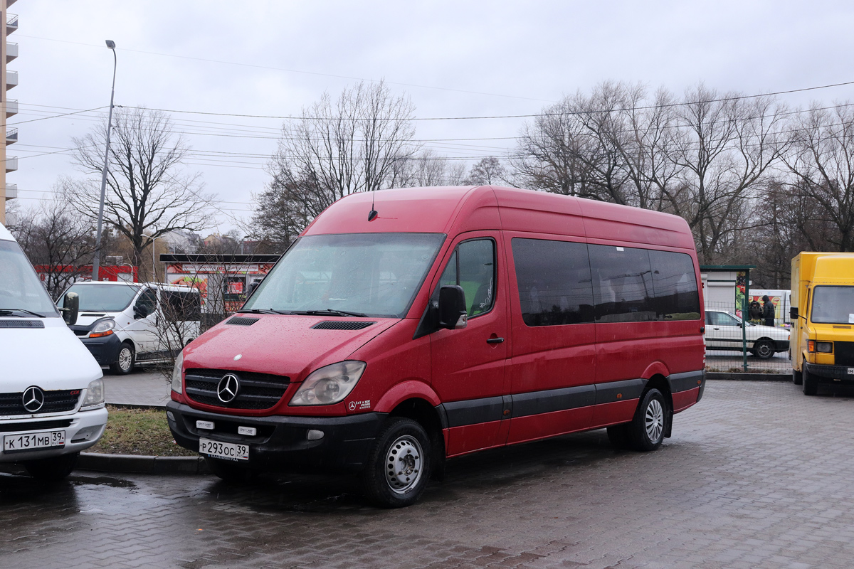 Калининградская область, Mercedes-Benz Sprinter W906 511CDI № Р 293 ОС 39