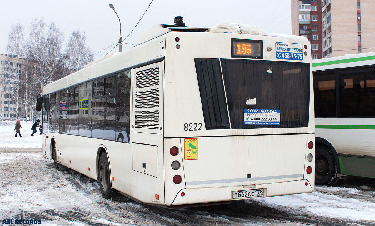 Санкт-Петербург, МАЗ-203.085 № 8222