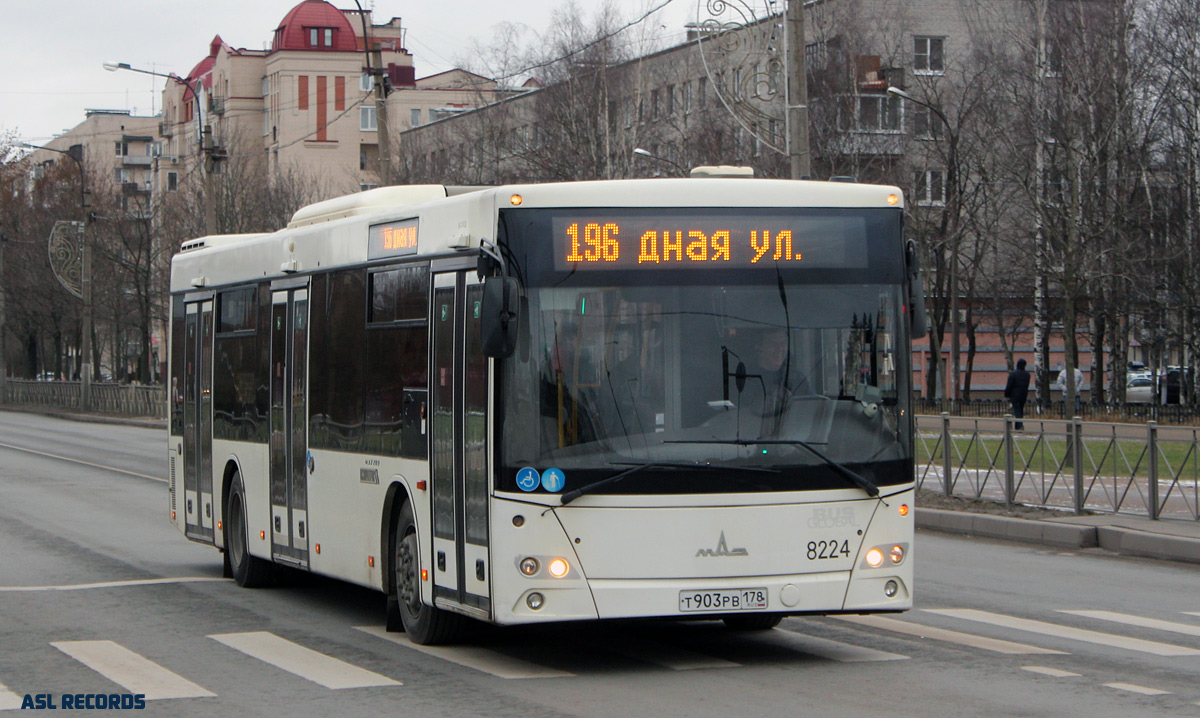 Санкт-Петербург, МАЗ-203.085 № 8224