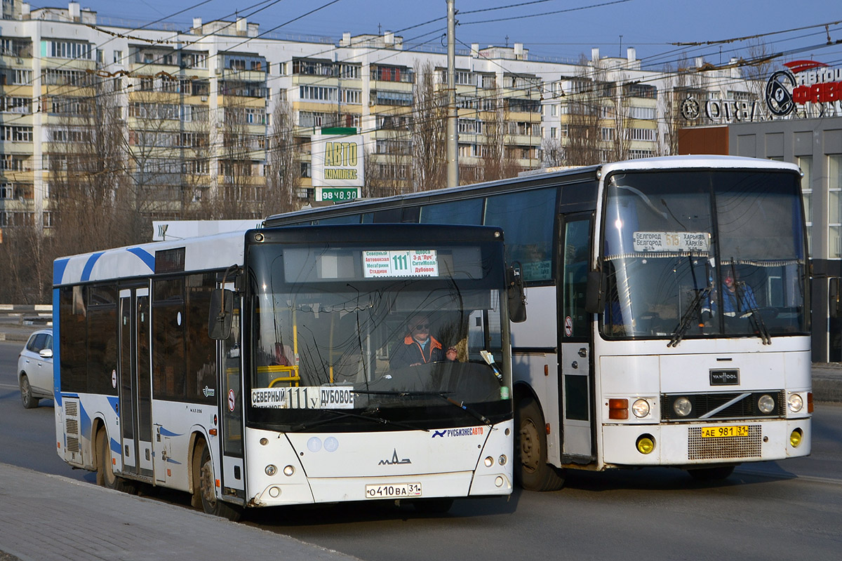 Белгородская область, МАЗ-206.085 № О 410 ВА 31; Белгородская область, Van Hool T8 Alizée 360 № АЕ 981 31