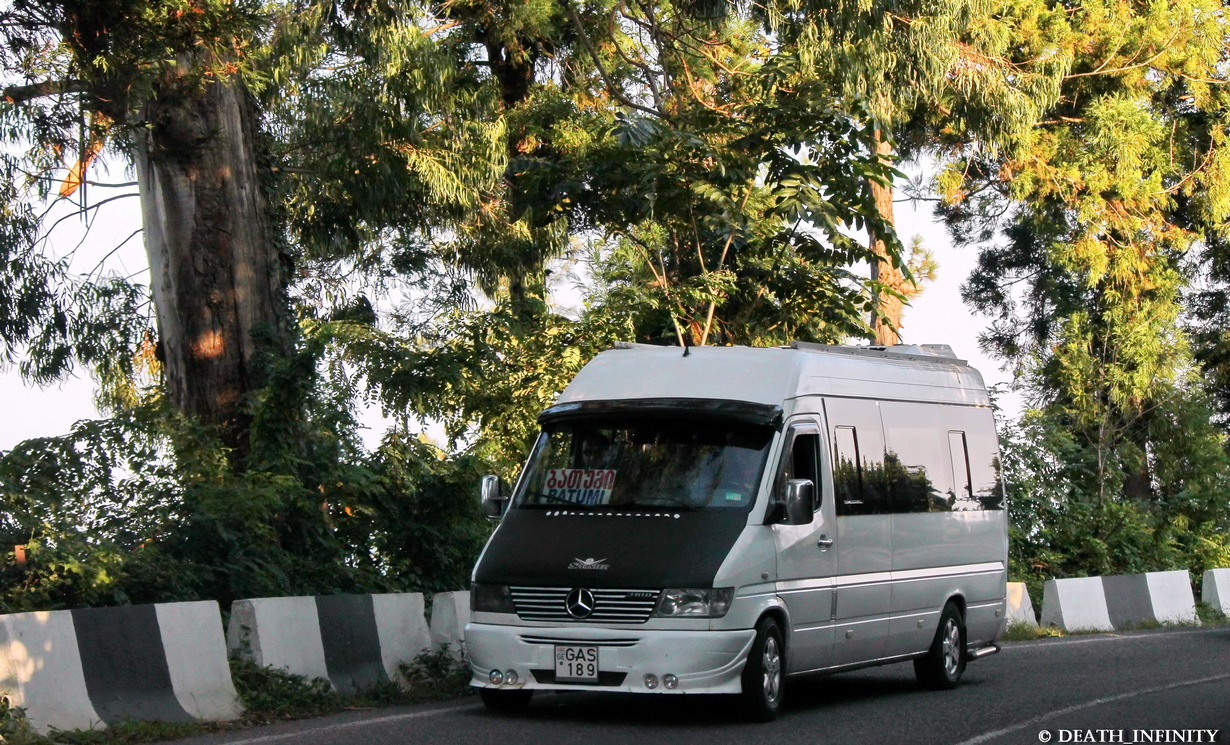 Грузия, Mercedes-Benz Sprinter W903 310D № GAS-189