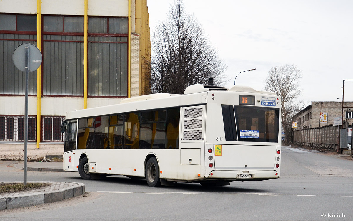 Санкт-Петербург, МАЗ-203.085 № 8117