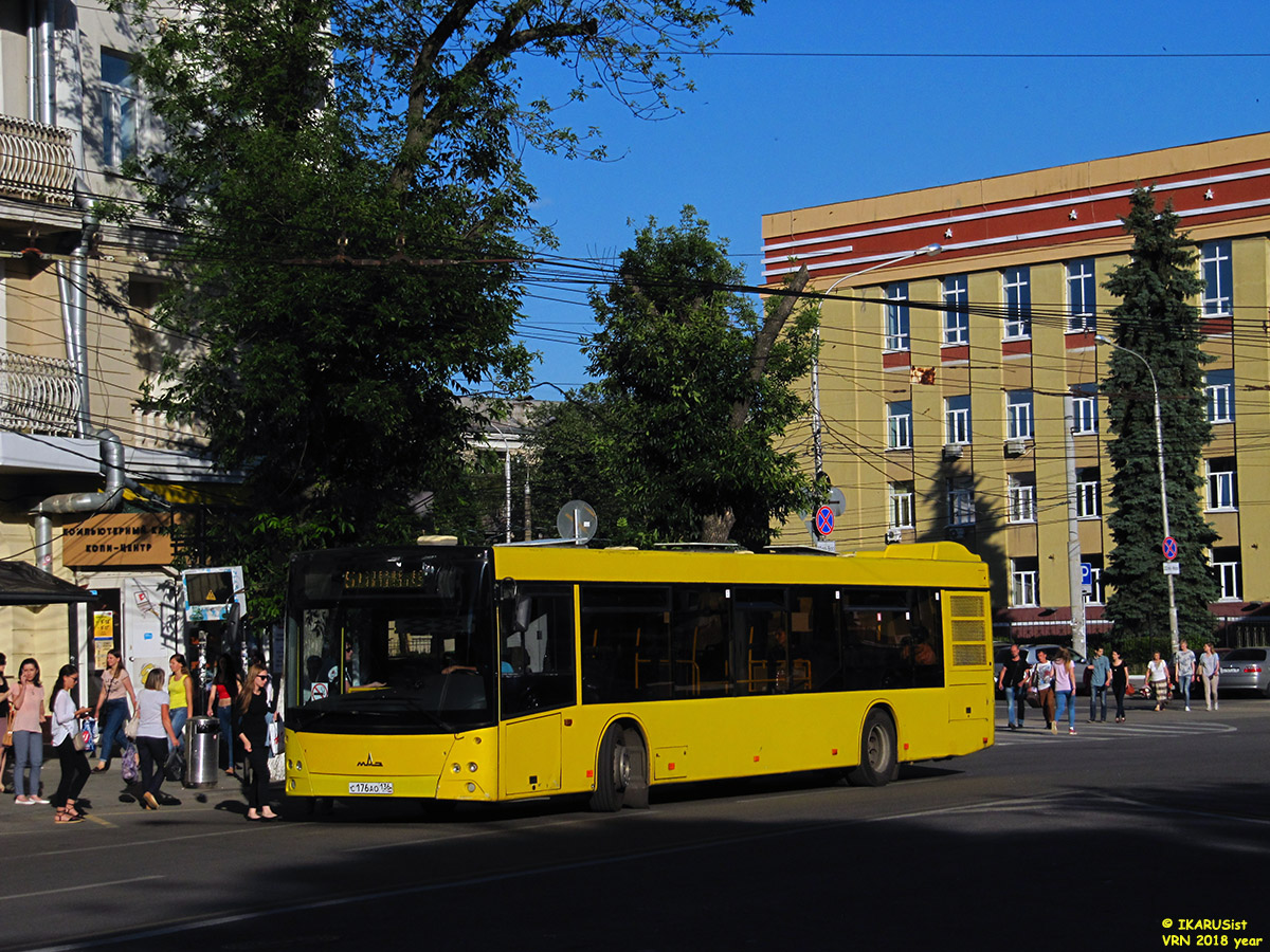 Воронежская область, МАЗ-203.067 № С 176 АО 136