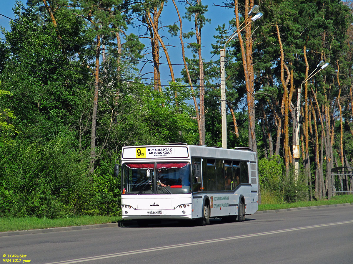 Voronezh region, MAZ-103.465 № Х 172 АМ 136