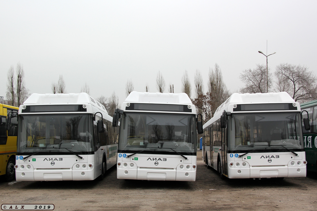 Воронежская область — Новые автобусы