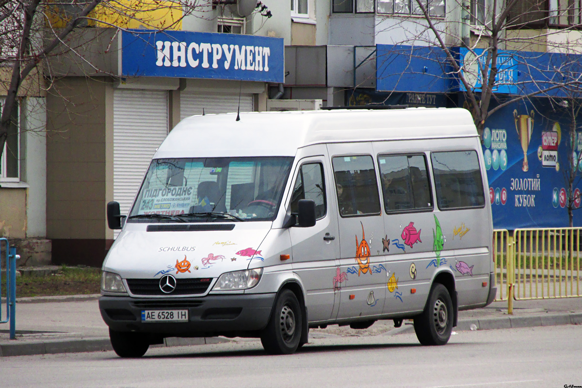 Днепропетровская область, Mercedes-Benz Sprinter W903 313CDI № 4508