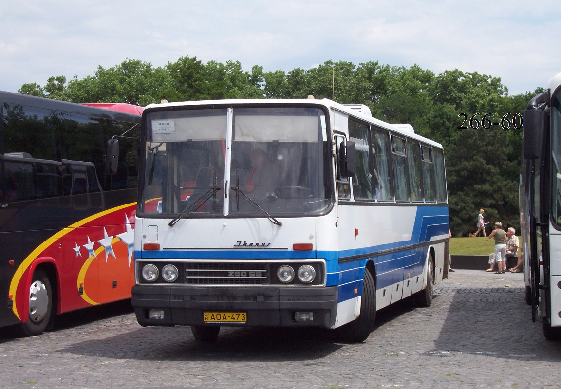 Автобус 256. Ikarus автобусы Венгрии. Икарус 250. Ikarus 250 автобусы Венгрии. Ikarus 250.70.