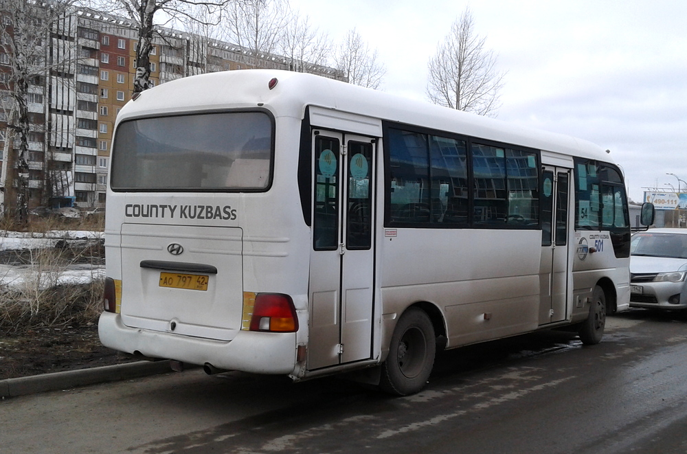 Kemerovo region - Kuzbass, Hyundai County Kuzbass # 501