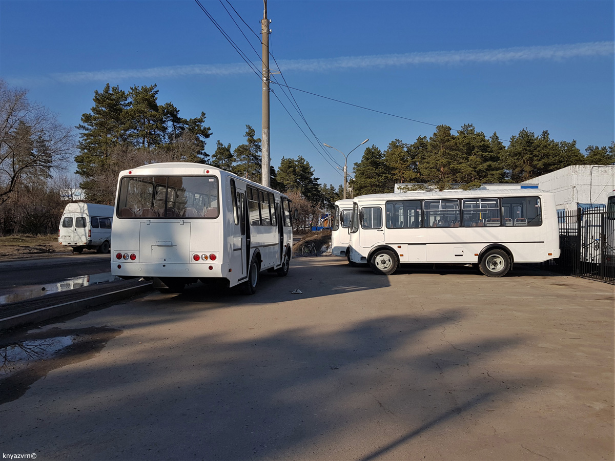 Воронежская область — Новые автобусы