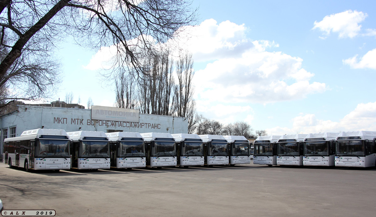 Voronezh region — New buses