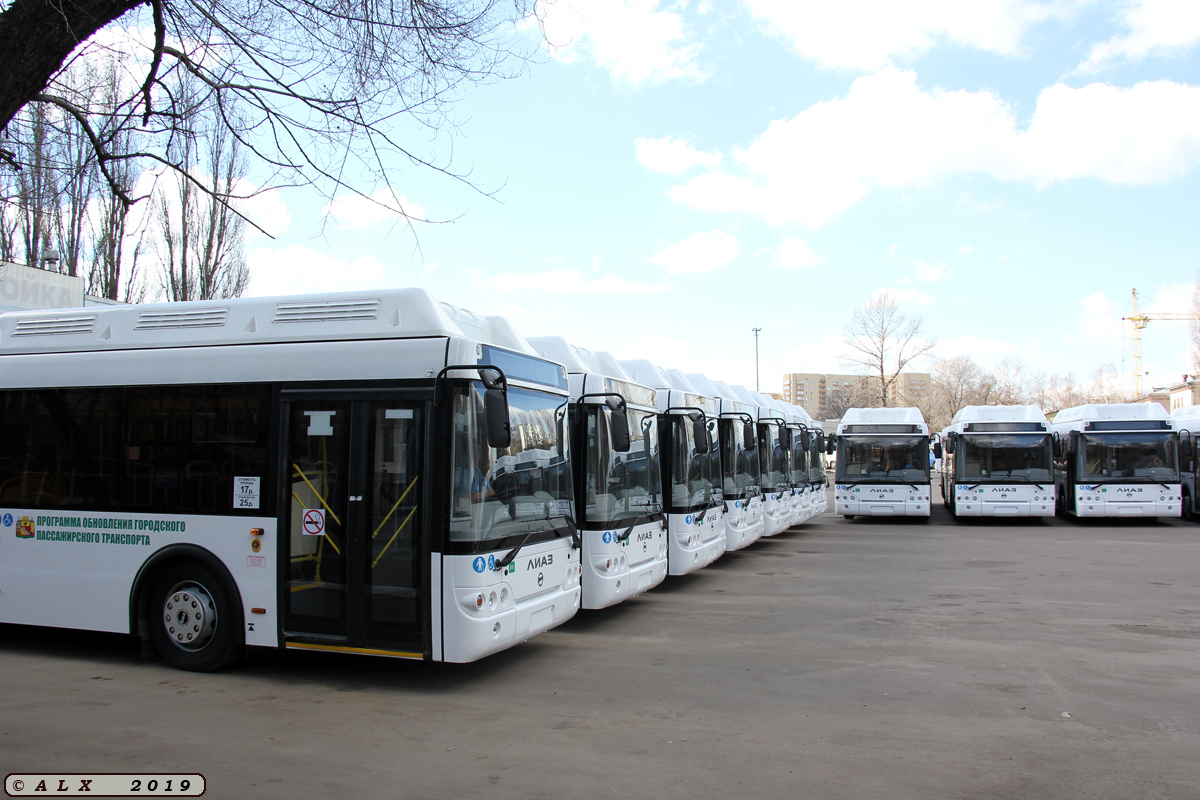 Воронежская область — Новые автобусы