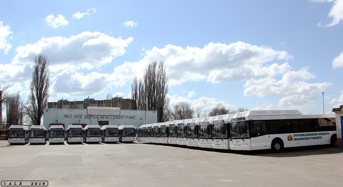 Воронежская область — Новые автобусы