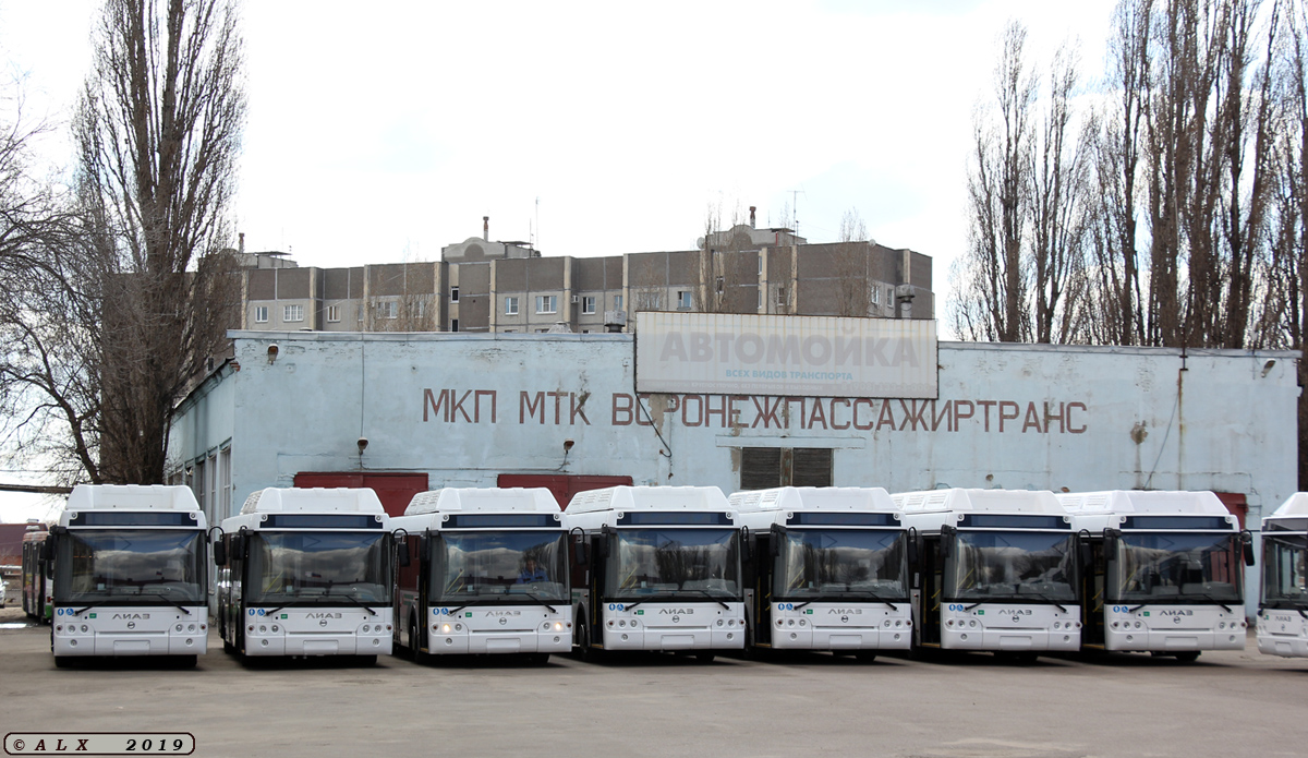 Воронежская область — Новые автобусы