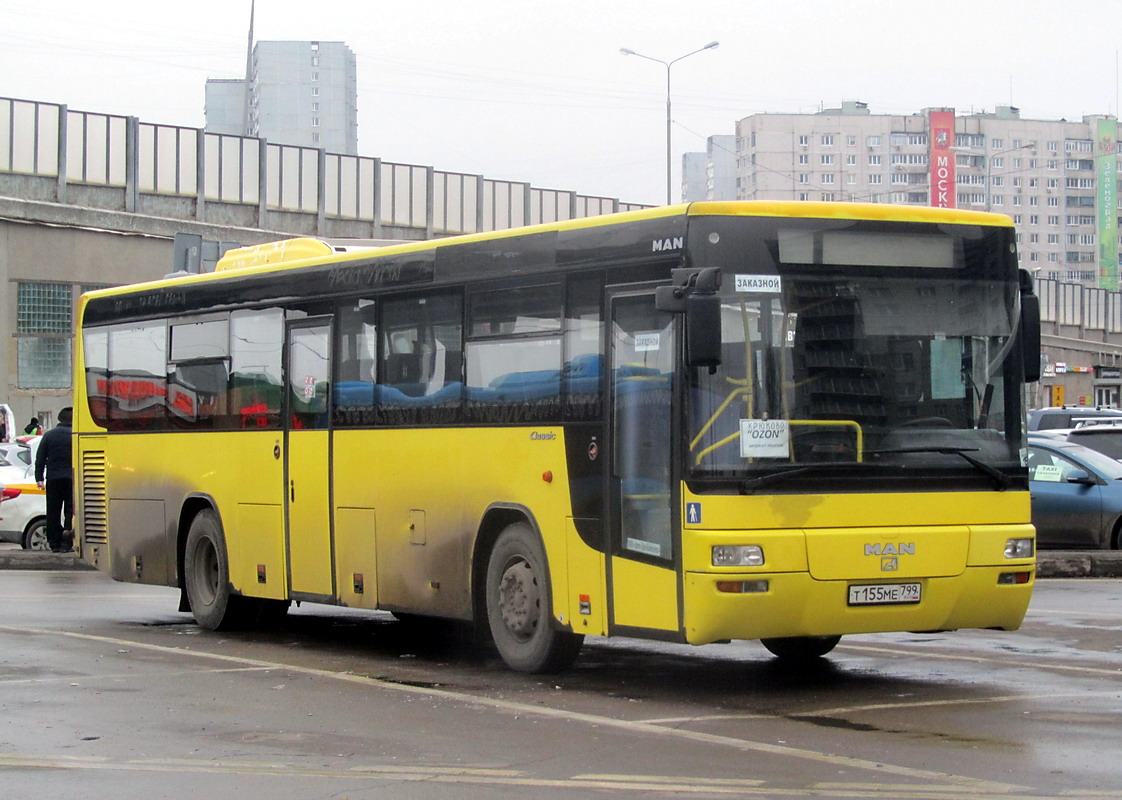 Москва, MAN A72 Lion's Classic SÜ313 № Т 155 МЕ 799