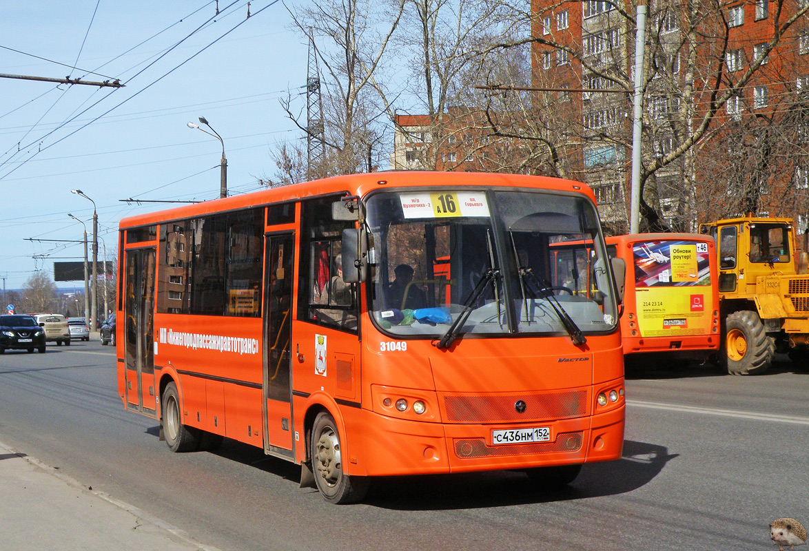 Нижегородская область, ПАЗ-320414-04 "Вектор" № 31049