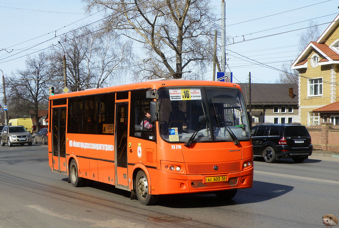 Нижегородская область, ПАЗ-320414-05 "Вектор" (1-2) № 73215