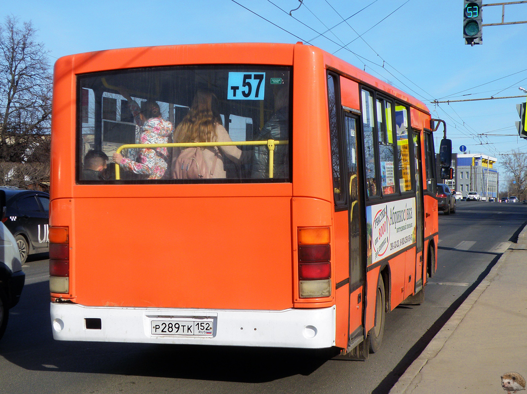 Нижегородская область, ПАЗ-320402-05 № Р 289 ТК 152