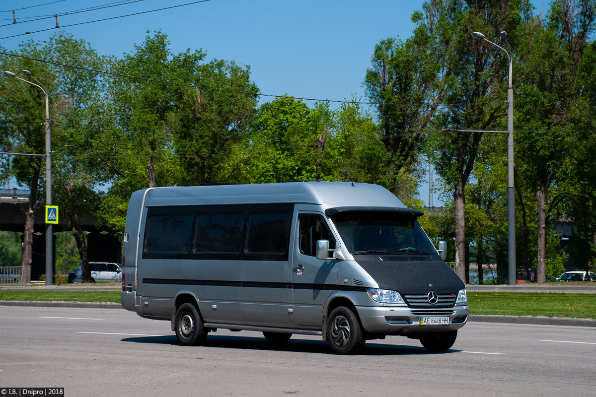 Днепропетровская область, Mercedes-Benz Sprinter W903 313CDI № AE 8668 HH