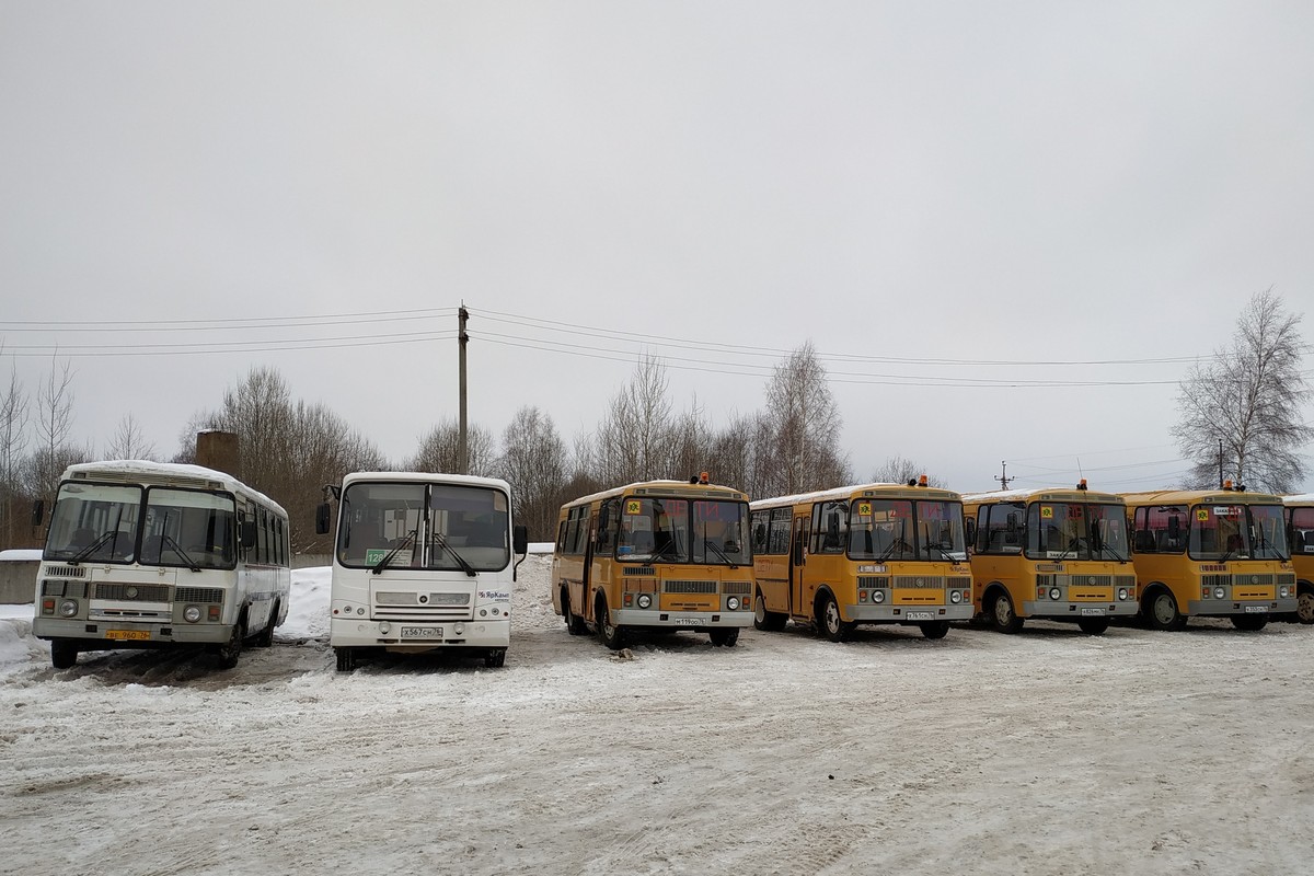 Ярославская область, ПАЗ-4234 № ВЕ 960 76; Ярославская область — Разные фотографии