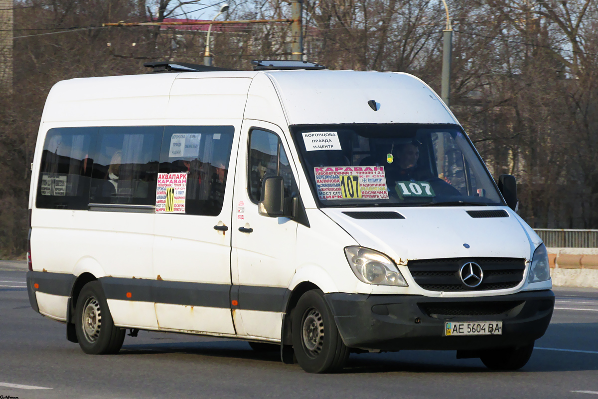 Днепропетровская область, Mercedes-Benz Sprinter W906 313CDI № AE 5604 BA