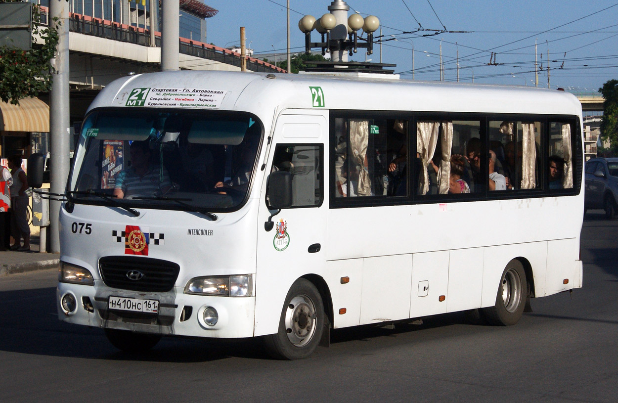 Ростовская область, Hyundai County LWB C09 (ТагАЗ) № 075