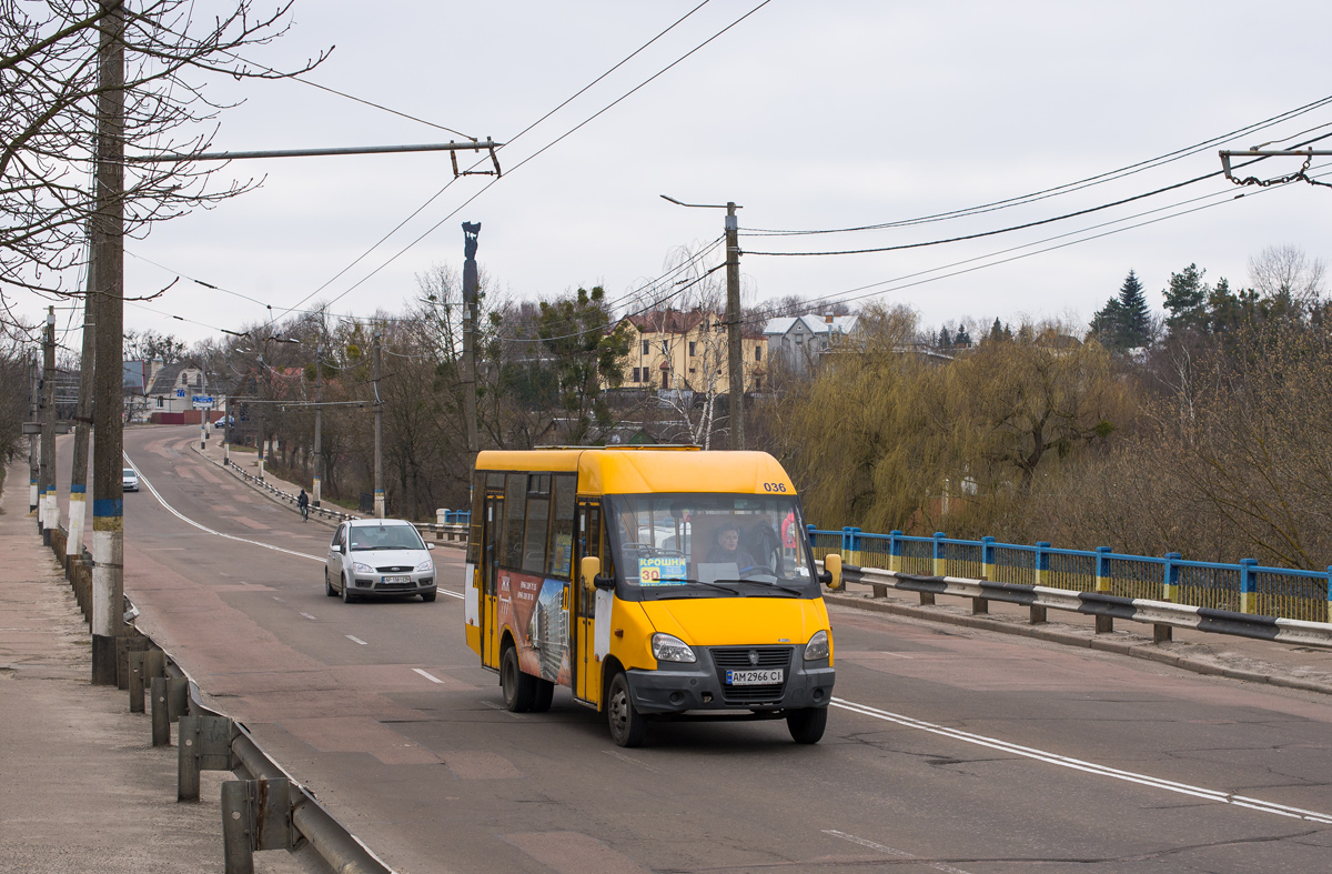 Житомирская область, Рута 25 № 036