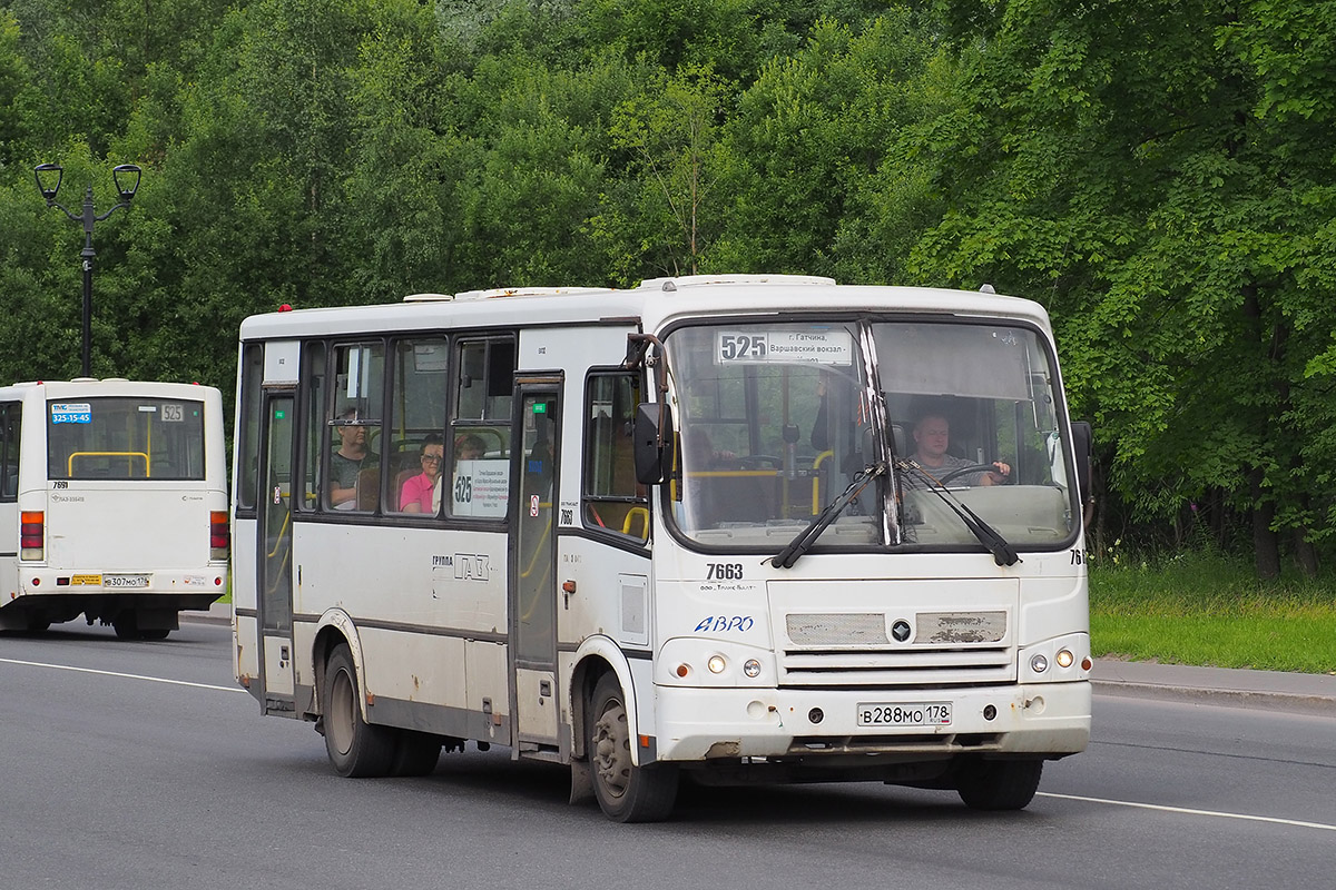 Ленинградская область, ПАЗ-320412-05 № 7663