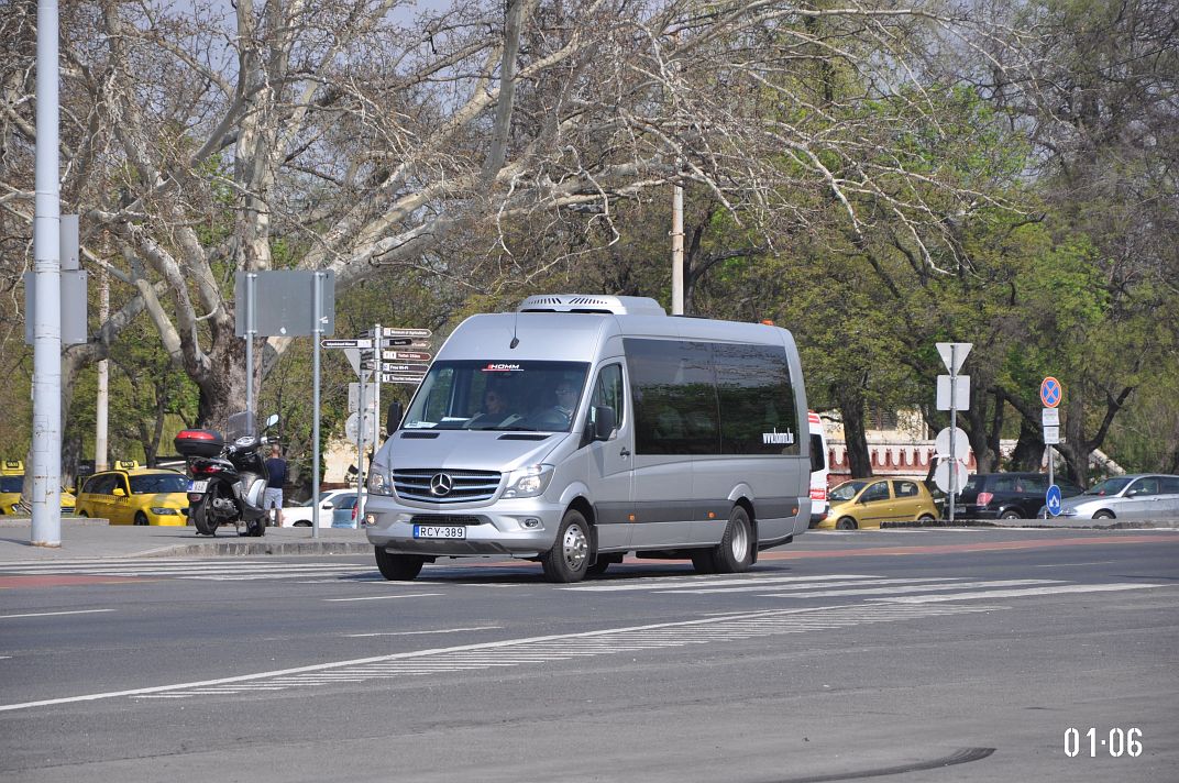 Венгрия, Mercedes-Benz Sprinter W906 519CDI № RCY-389