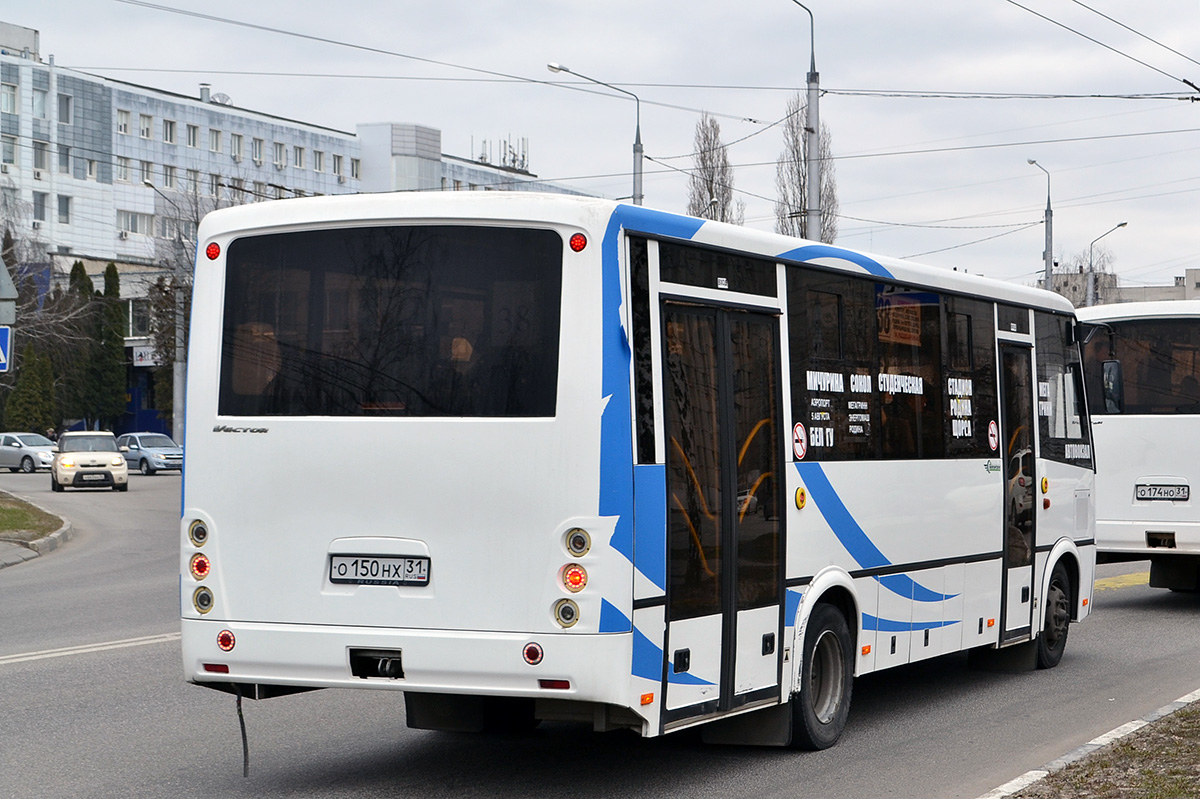 Белгородская область, ПАЗ-320414-05 "Вектор" (1-2) № О 150 НХ 31