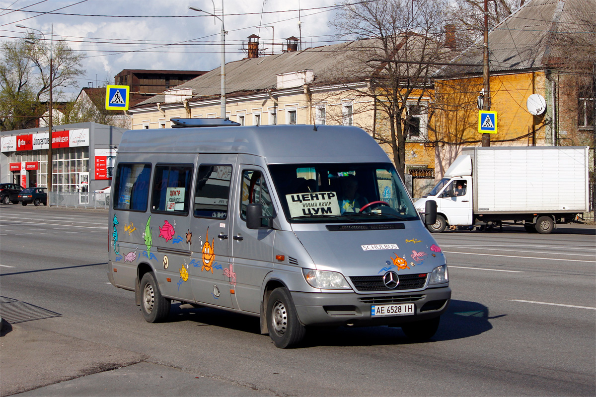 Днепропетровская область, Mercedes-Benz Sprinter W903 313CDI № 4508