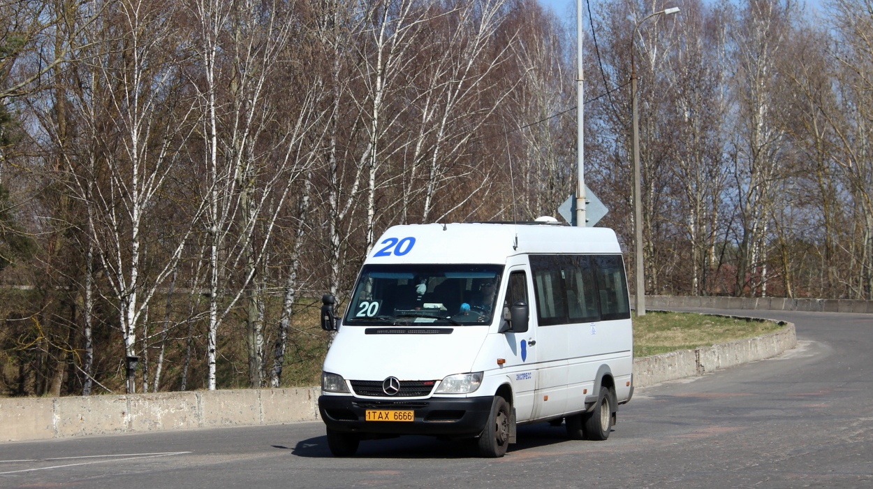 Brest region, Samotlor-NN-323770 (MB Sprinter 411CDI) # 1 ТАХ 6666