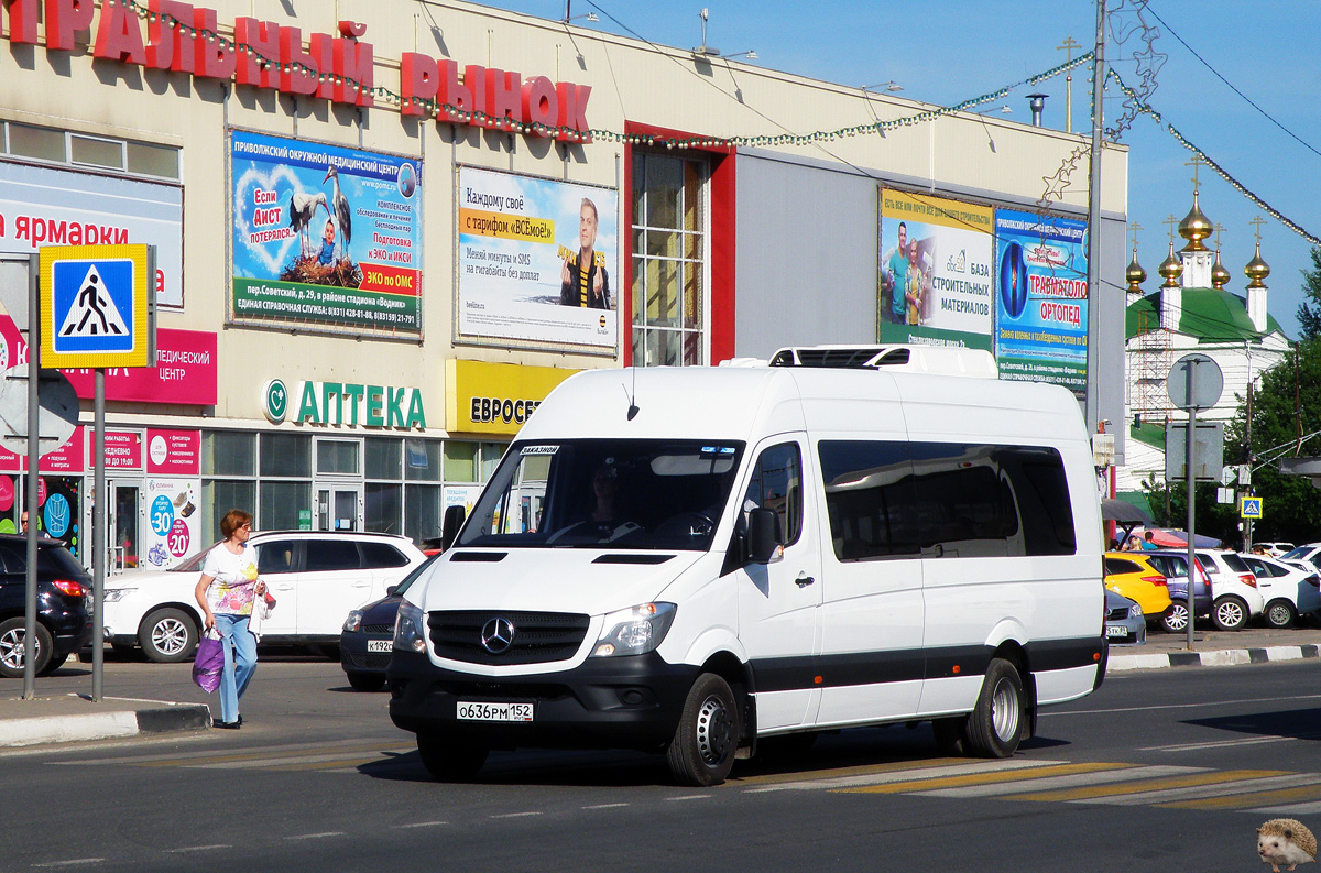 Нижегородская область, Луидор-223602 (MB Sprinter) № О 636 РМ 152