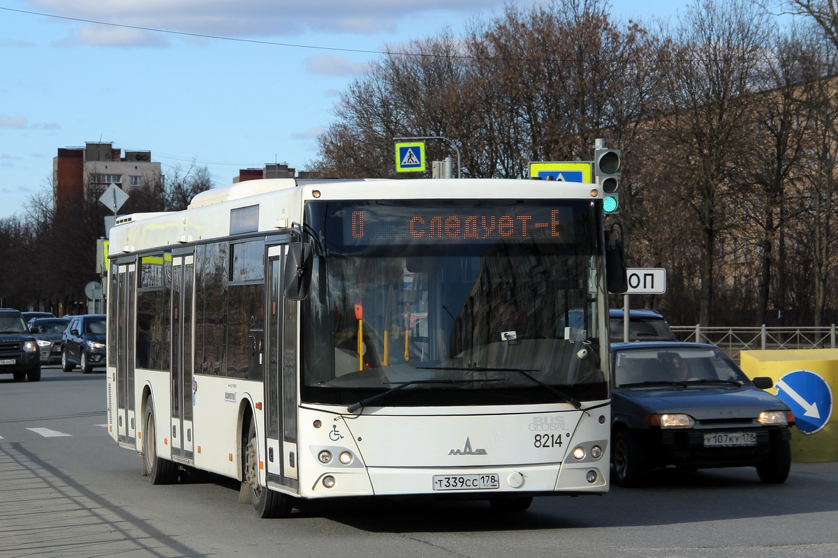 Санкт-Петербург, МАЗ-203.085 № 8214