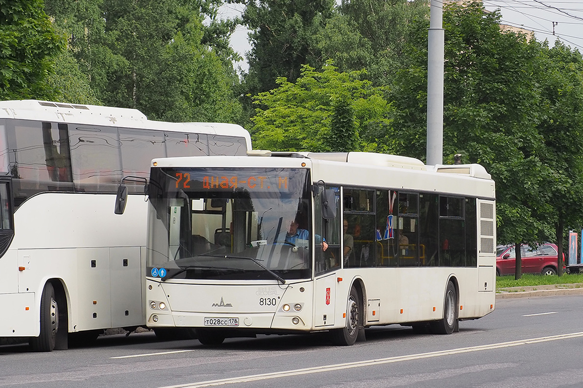 Sankt Petersburg, MAZ-203.085 Nr 8130