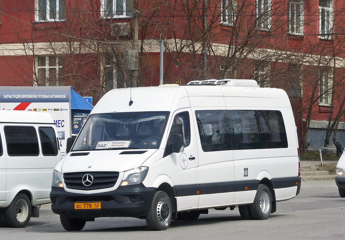 Кемеровская область - Кузбасс, Луидор-223690 (MB Sprinter) № 223