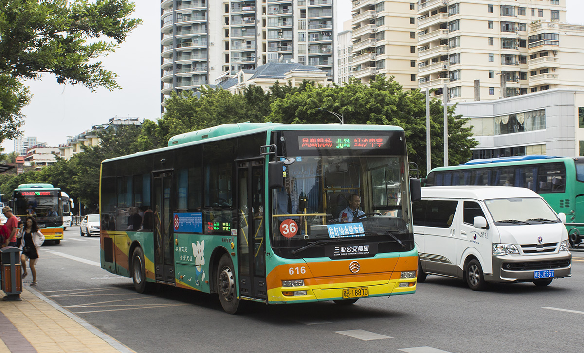 Китай, Golden Dragon XML6115JHEVA8C № 616