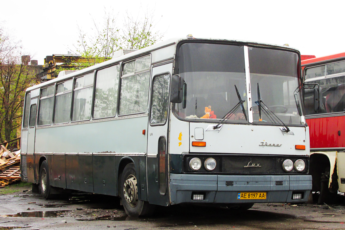 Днепропетровская область, Ikarus 250.59 № AE 8197 AA