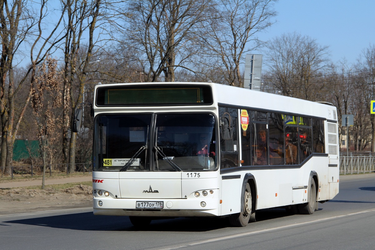 Санкт-Петербург, МАЗ-103.485 № n175