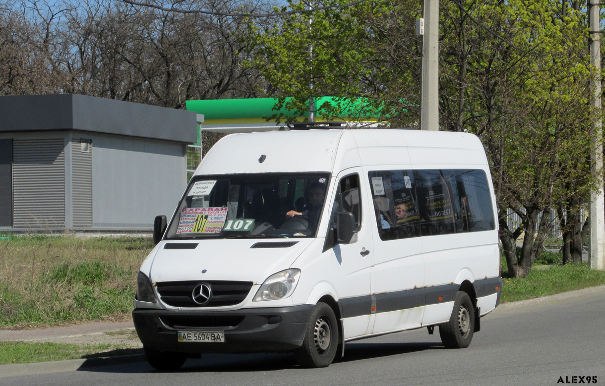 Днепропетровская область, Mercedes-Benz Sprinter W906 313CDI № AE 5604 BA