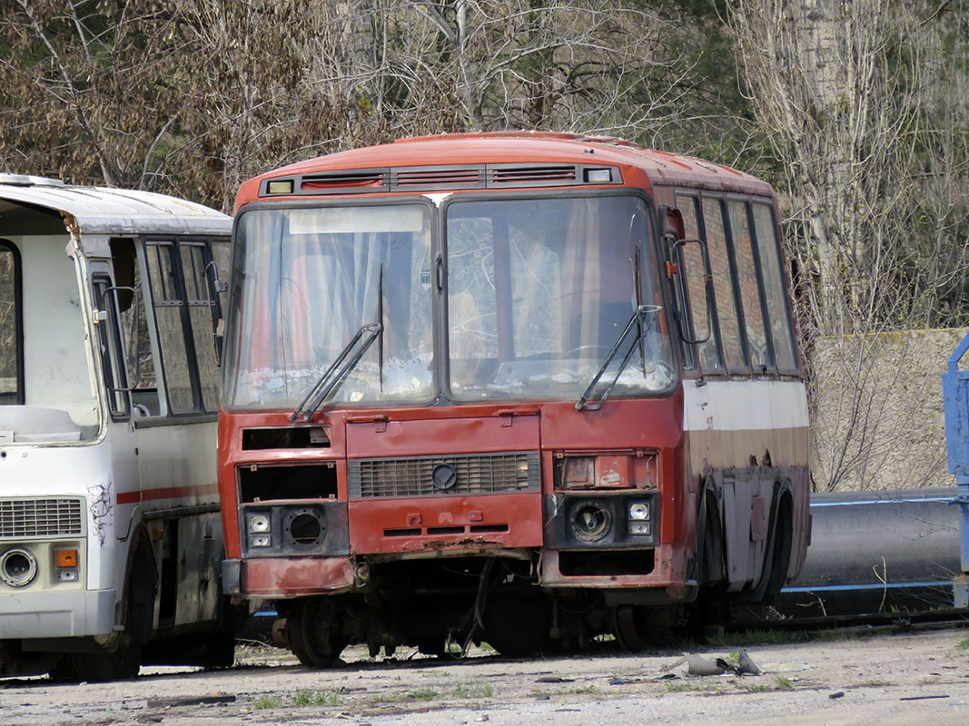 Воронежская область, ПАЗ-3206-60 № В 674 УХ 36