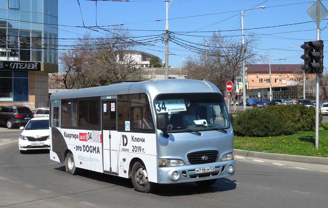 Краснодарский край, Hyundai County LWB (ТагАЗ) № М 718 СМ 123