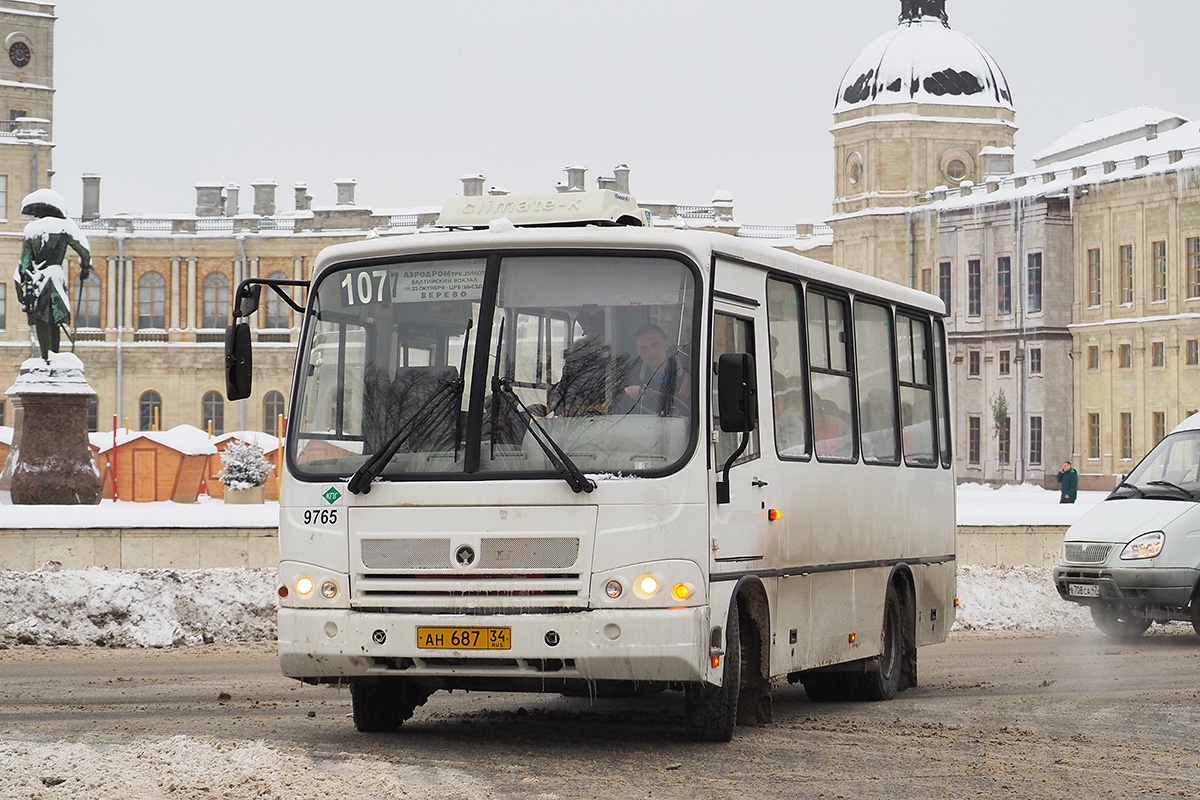Ленинградская область, ПАЗ-320302-11 № 9765
