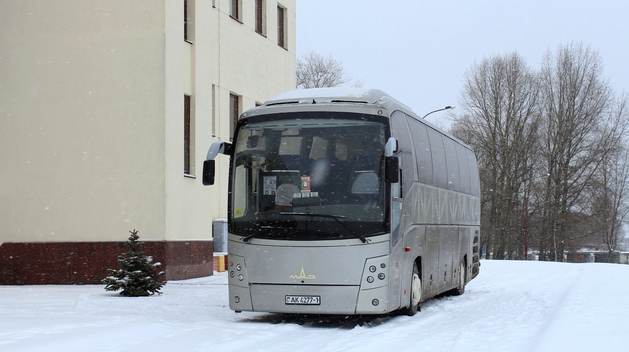 Брестская область, МАЗ-251.050 № 33010