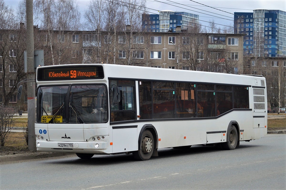 Пермский край, МАЗ-103.485 № К 229 КС 159