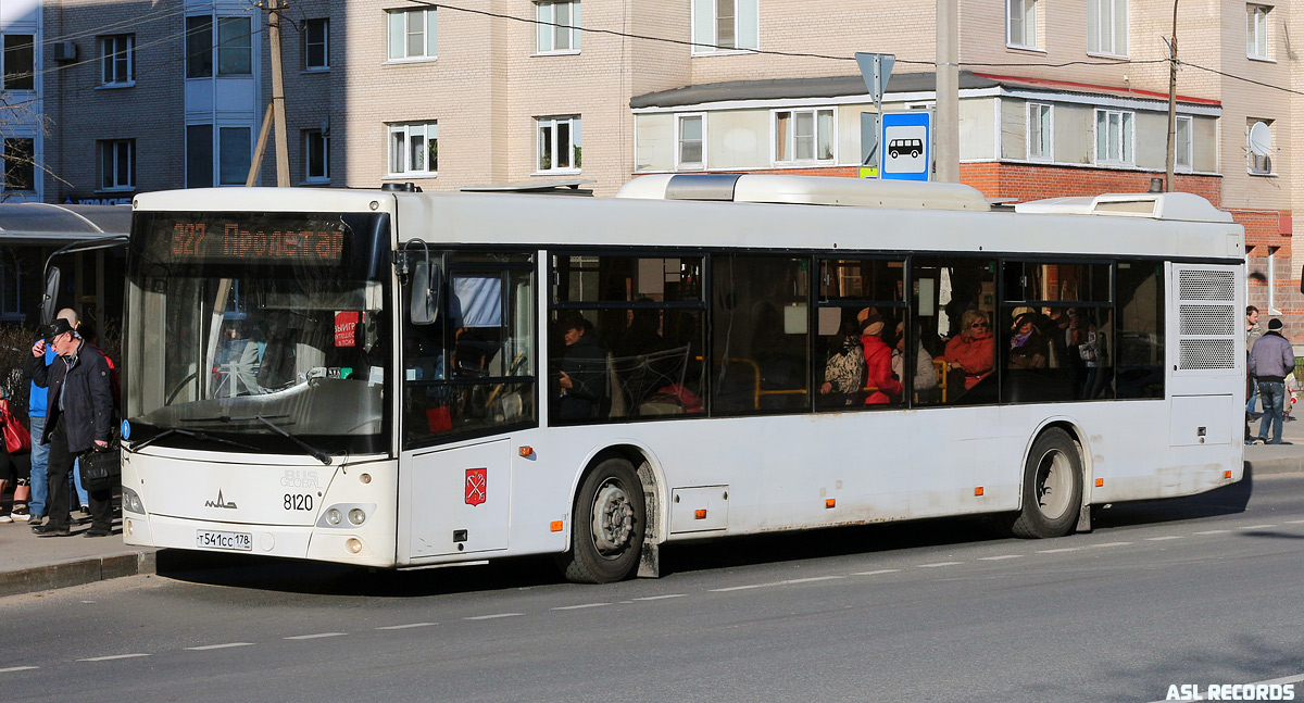 Санкт-Петербург, МАЗ-203.085 № 8120