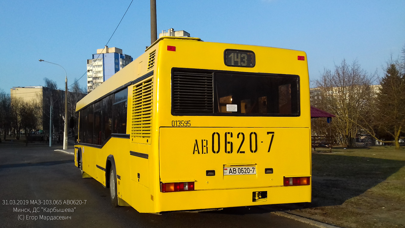 Mińsk, MAZ-103.065 Nr 013595