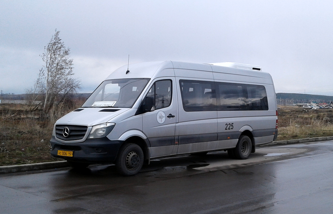 Obwód kemerowski - Kuzbas, Luidor-223602 (MB Sprinter) Nr 225