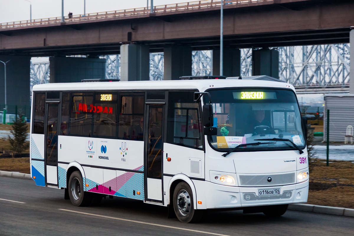 Красноярский край, ПАЗ-320414-04 "Вектор" (1-1) № 391
